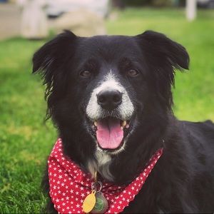 Meet your Posher, Maureen